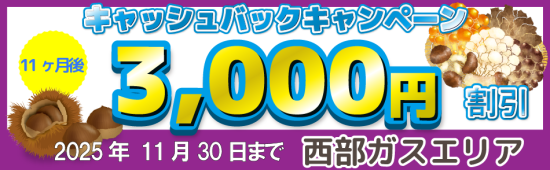 【西部ガス】キャッシュバックキャンペーン_202511